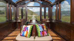 Tren Vistadome a Machu Picchu 