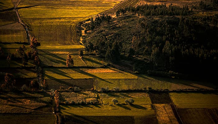 Campos de cultivo dorados al atardecer en el Valle Sagrado cerca de Cusco