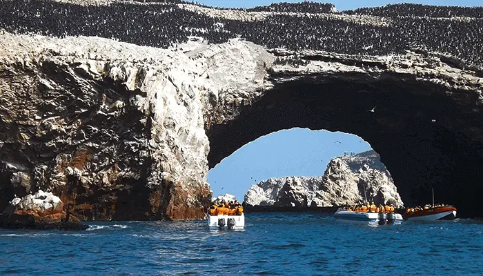 Ballesta Island