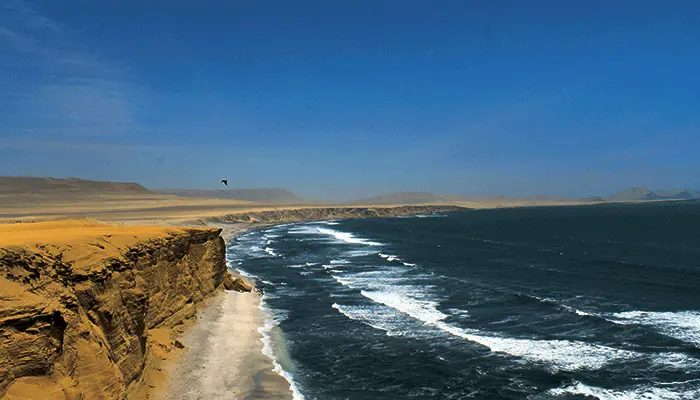 Paracas National Reserve