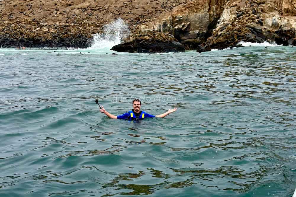 hombre nadando con lobos marinos
