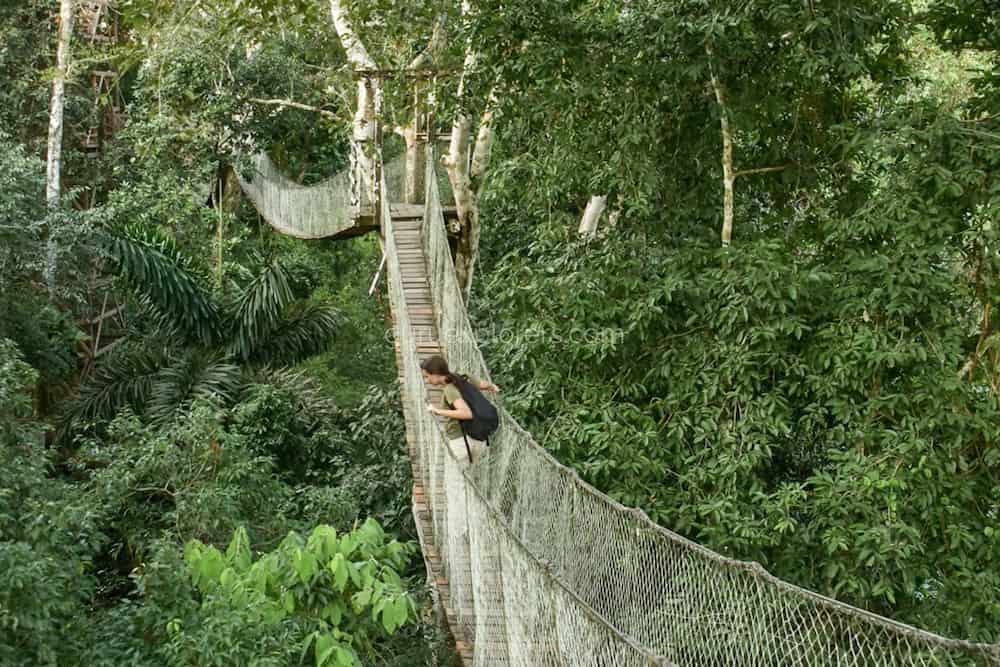 mujer en puente colgante en la selva de tambopata