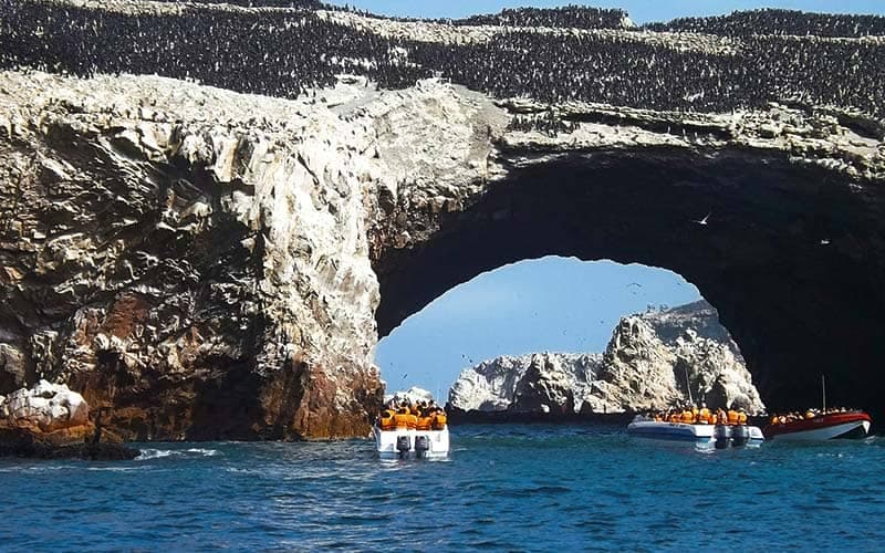 Tour en lancha por el arco de las Islas Ballestas en la Reserva de Paracas, Ica
