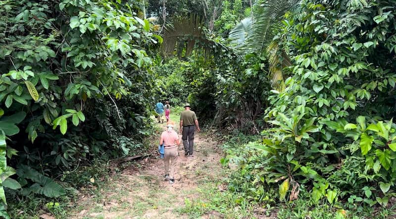 Clima en tambopata peru