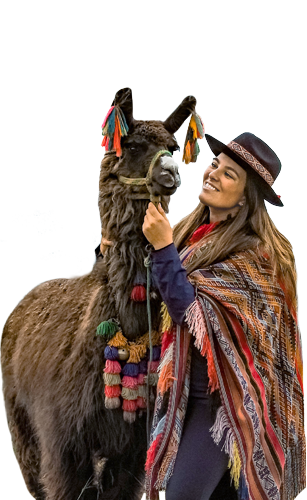 Guru Explorers Tours