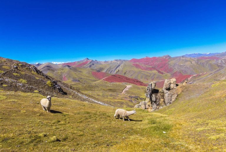 Montaña de 7 Colores en Cusco, Perú. Prevención mal de altura en tour.