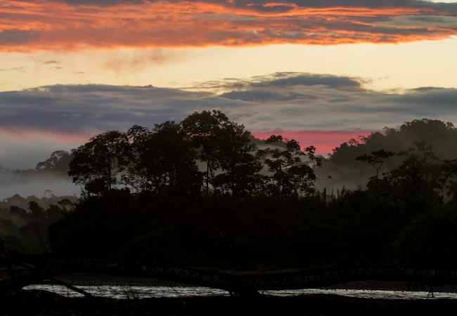 Parque Nacional el Manu