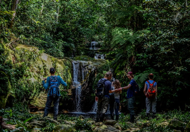 Tour al Parque Nacional el Manu