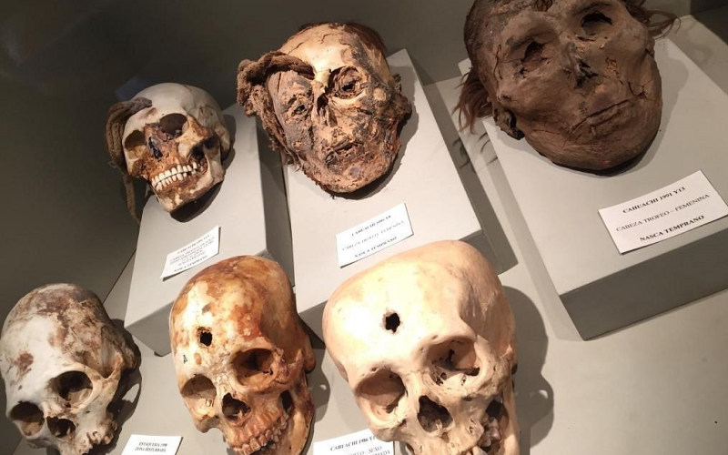 y7q56L7EGU7AAW6otjOEL3cWH37DV5bP6bkhji59 | Guru Explorers