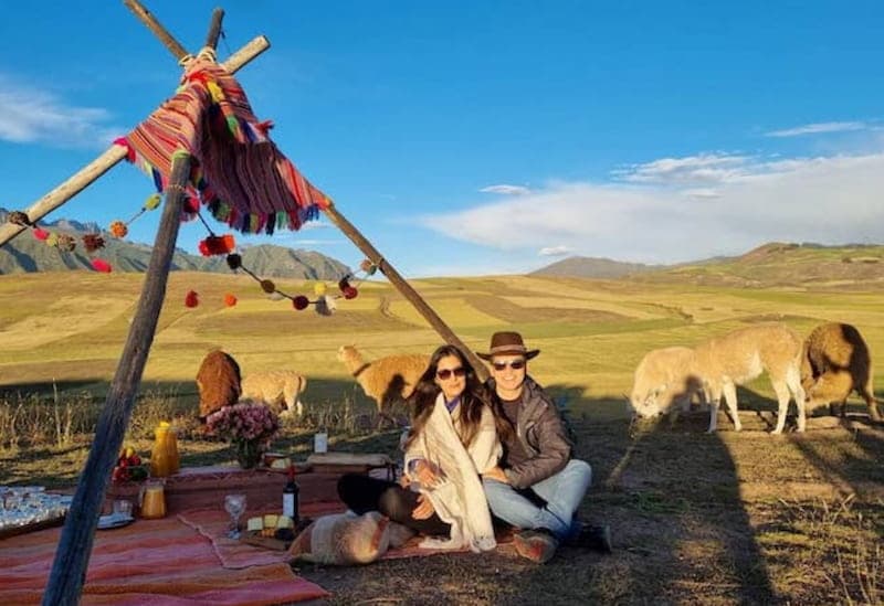 Couple at a picnic with llamas in the Sacred Valley, a special experience near Chinchero