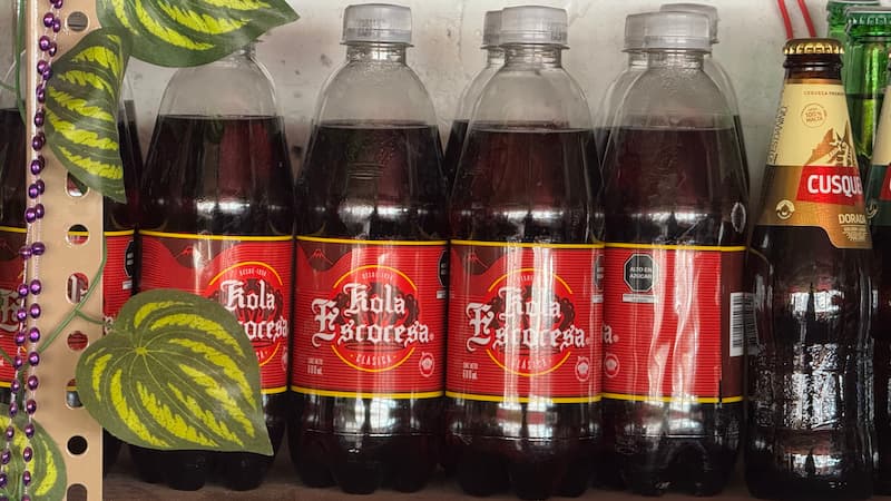 typical dishes arequipa