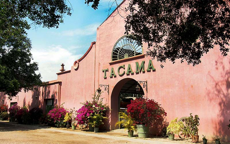 XsGfYmGUHjafTcoMadlC7SOcqm7aVMyffRtW2Pwp | Guru Explorers